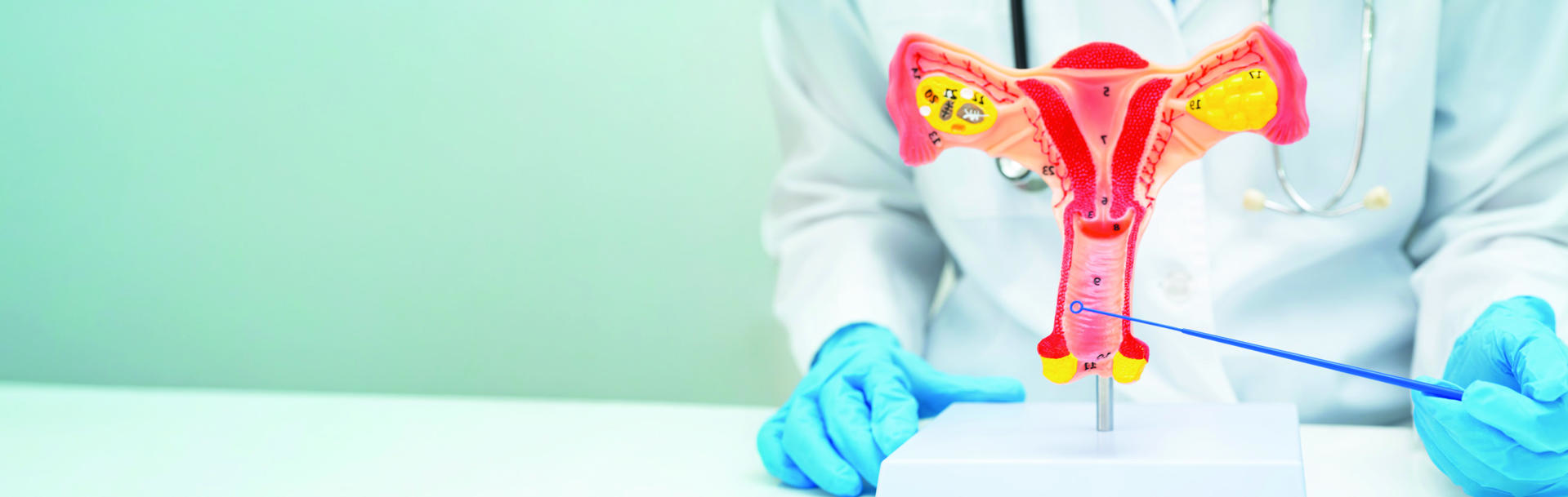 WEBINAIRE - FOCUS ARTICLE #3